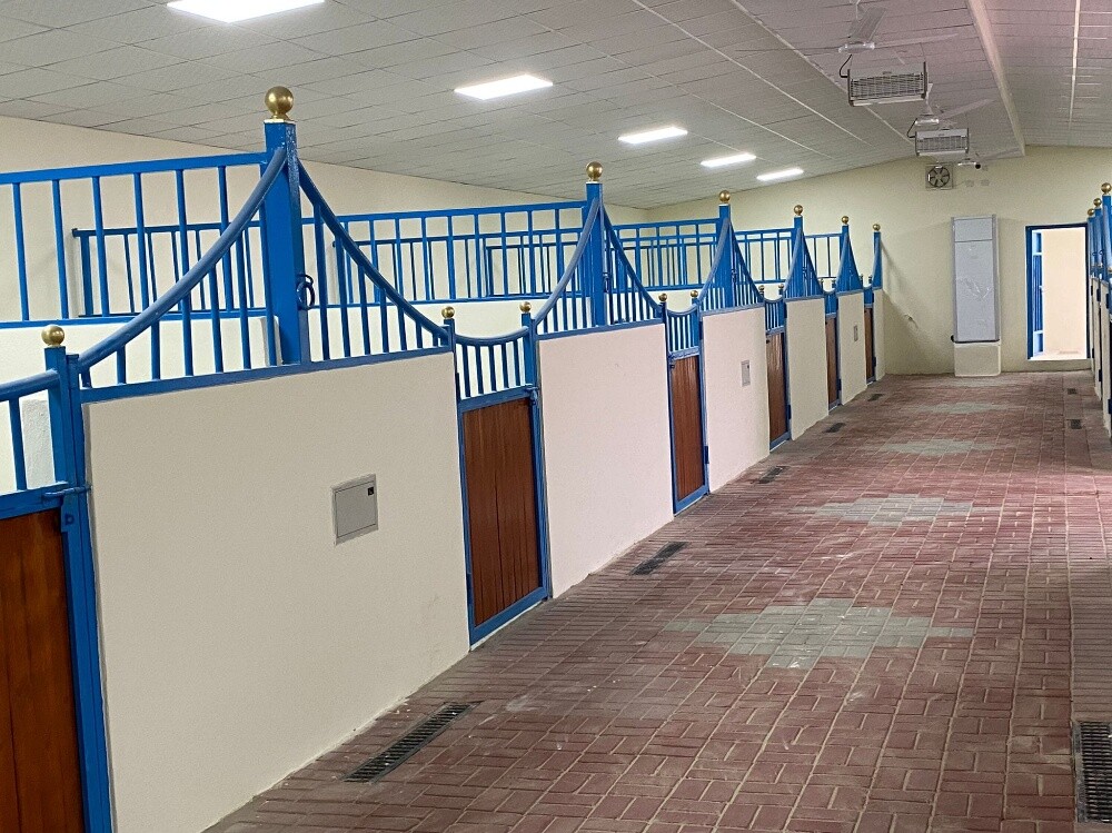 خيول - 3