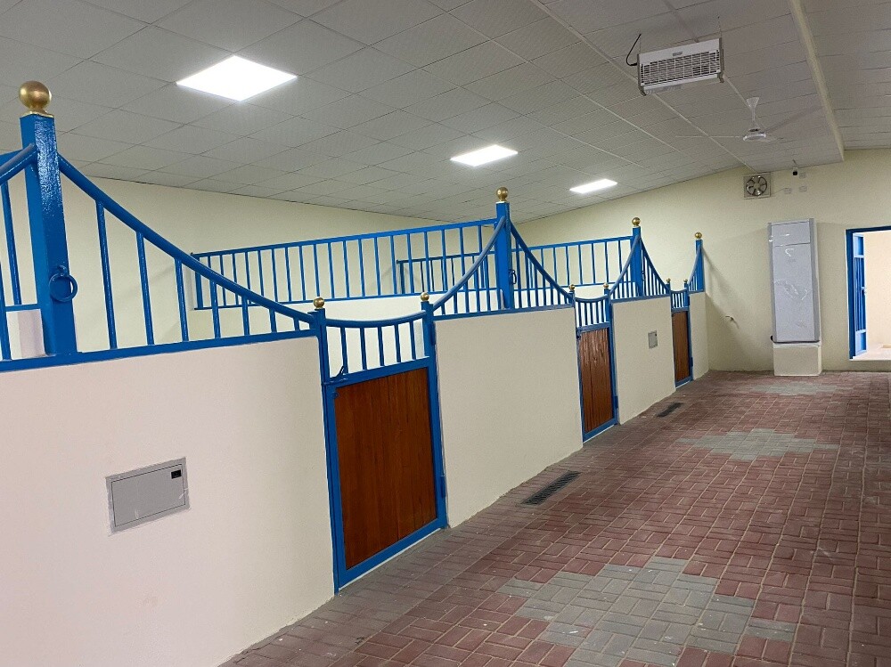 خيول - 2