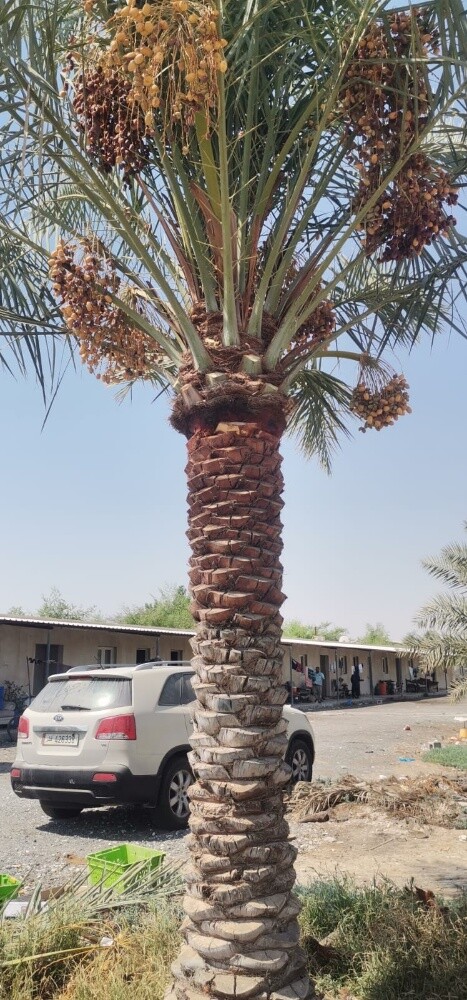 مهندس ابوعبدالله - 7