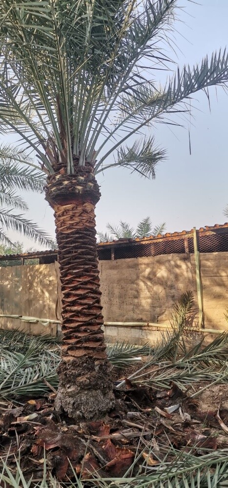 مهندس ابوعبدالله - 10