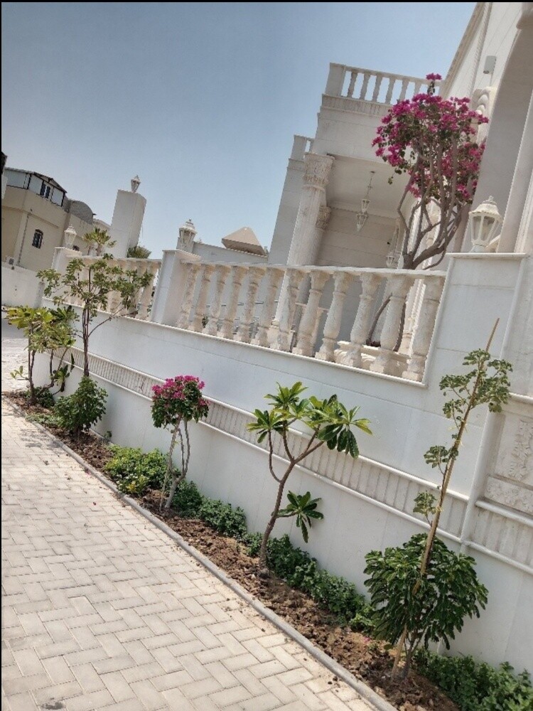 شلال جداري كلاسك - 4