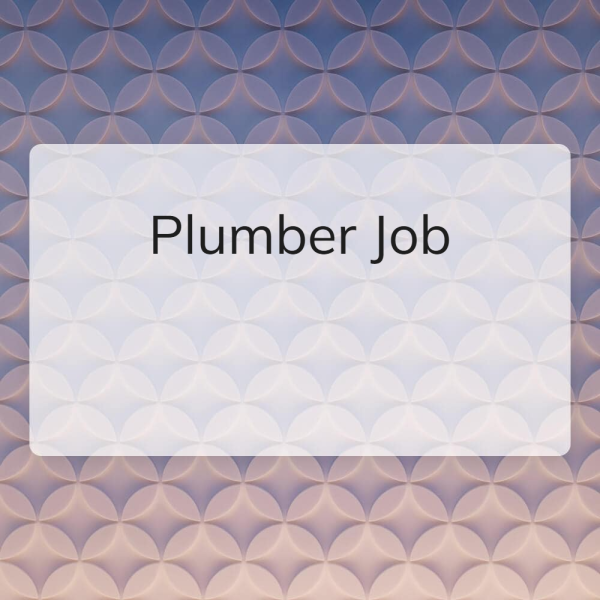 Plumber - 1