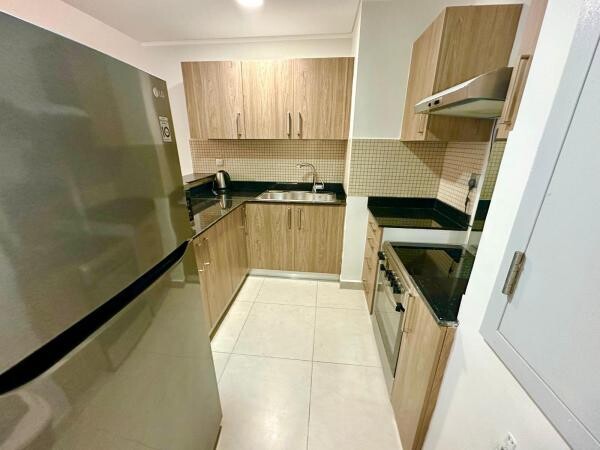 SPACIOUS ONE BHK FULLY FURNISHED - 3