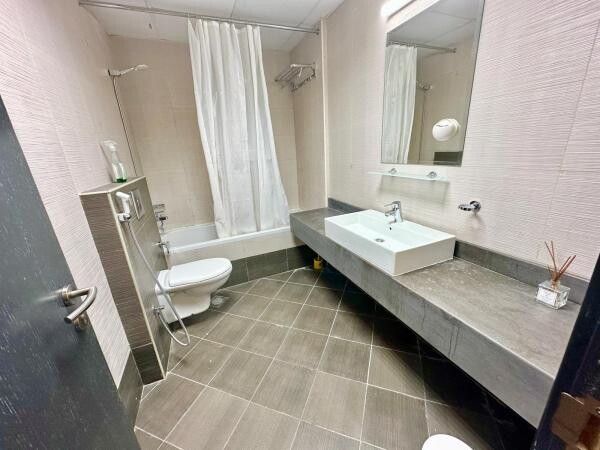SPACIOUS ONE BHK FULLY FURNISHED - 8