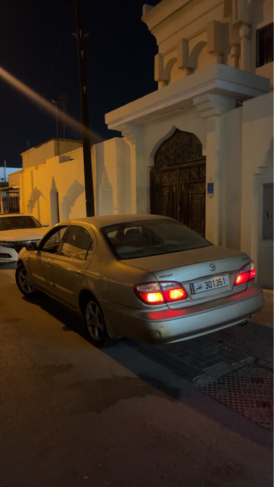 Maxima Stouring - 1