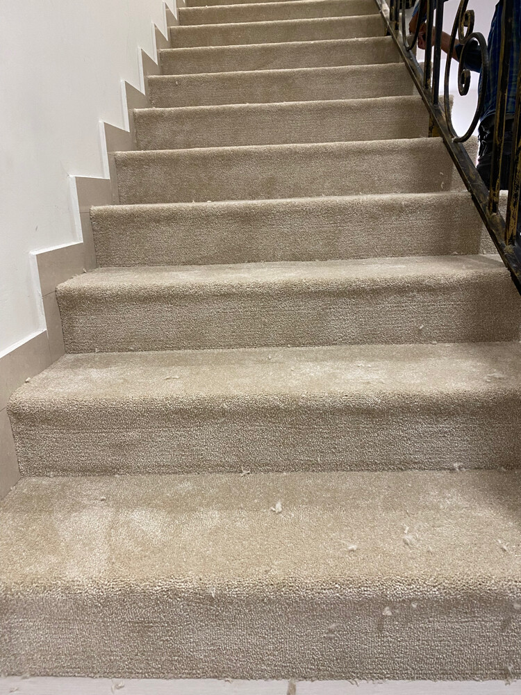daraj carpet - 8