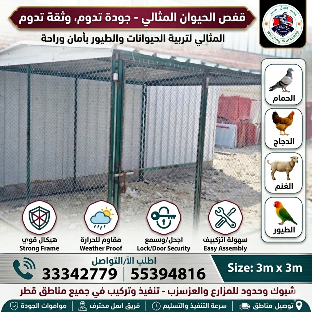 قن الحمام والدجاج - 4