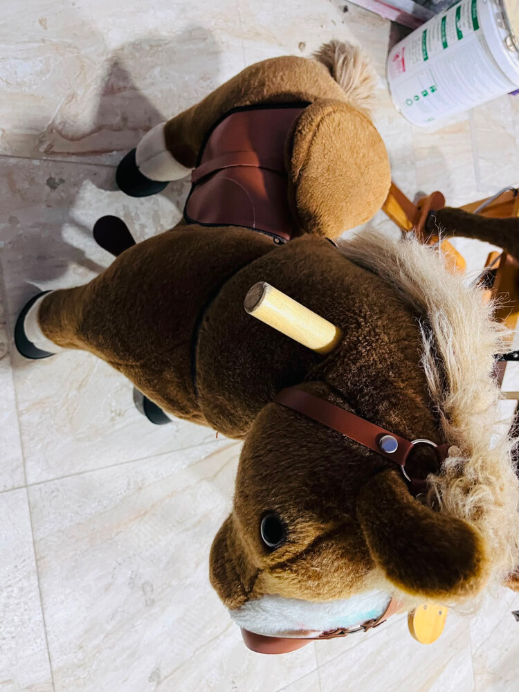 3 horse ride for kids  - 2