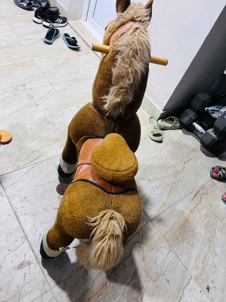 3 horse ride for kids  - 5