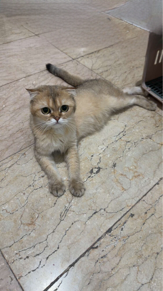 no name - 1