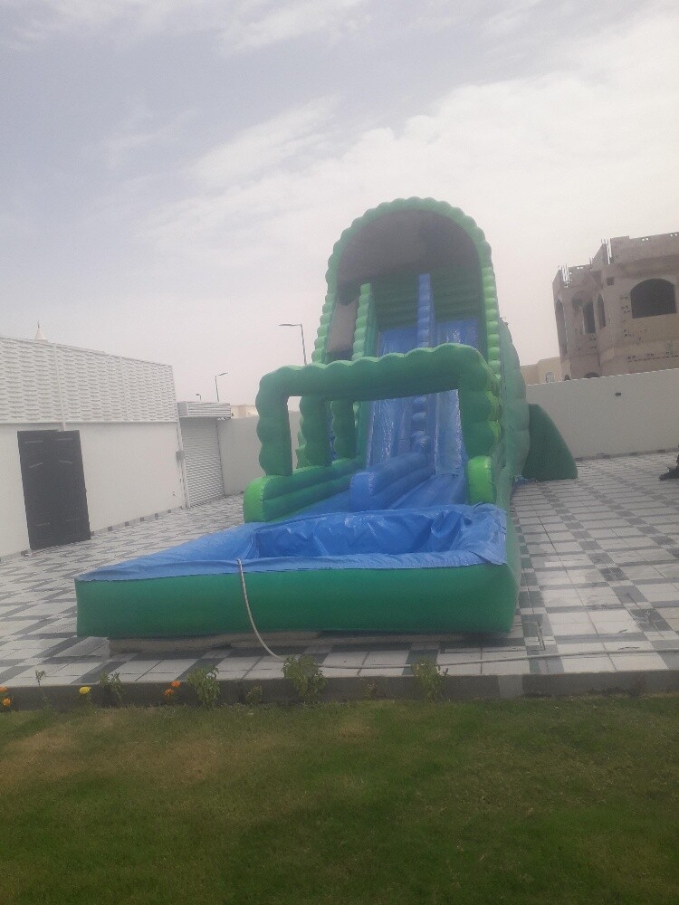 نطاطيات - 5