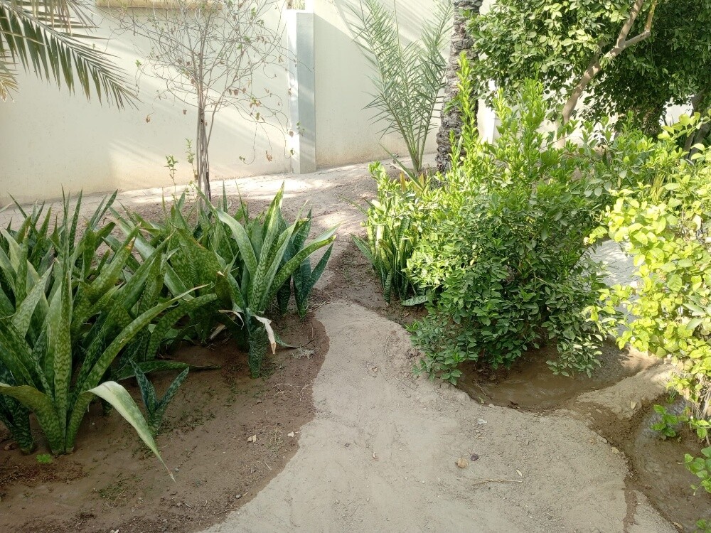 Rahman Al balushi - 8