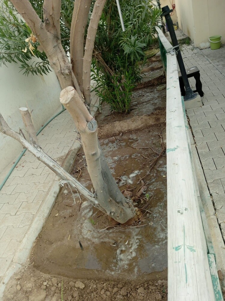 Rahman Al balushi - 4
