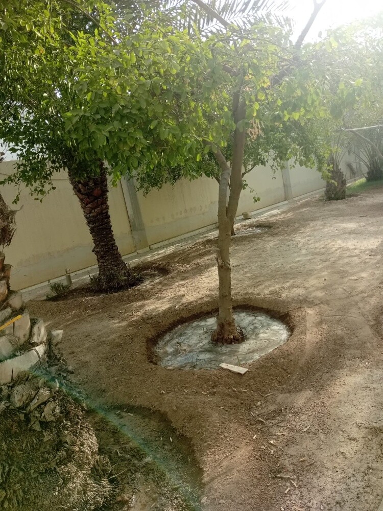Rahman Al balushi - 1