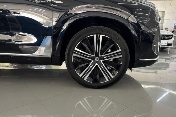 MG RX9 2.0L 2025 560km - 4