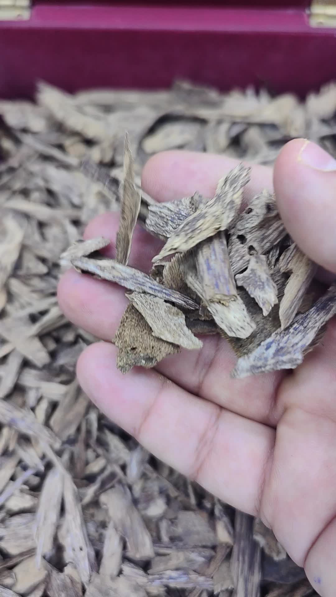 كلمنتان دقه - 1