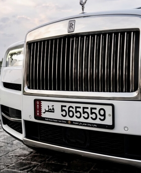 65559 Special plate - 1