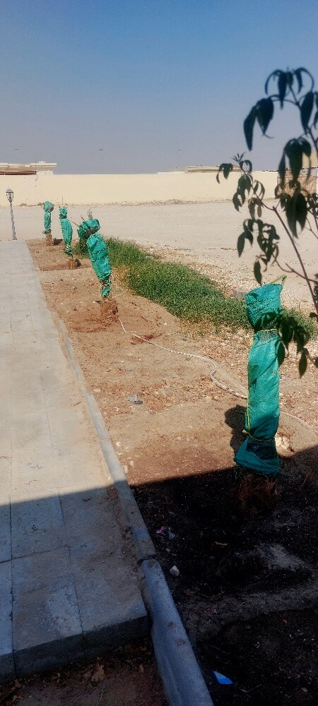 البلوشی - 3
