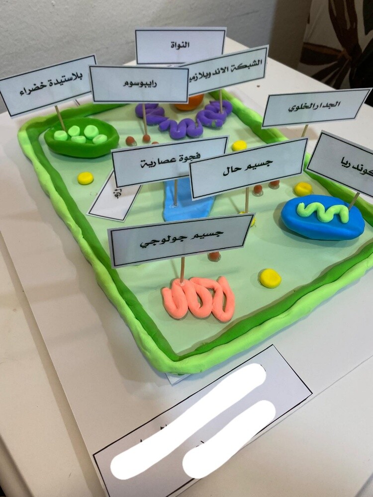 make any school projects - 2