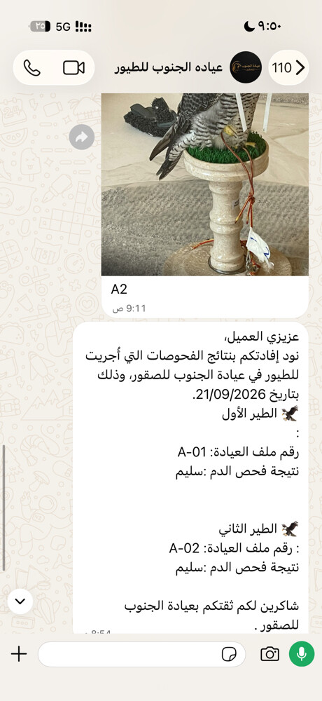 جير تبع - 3