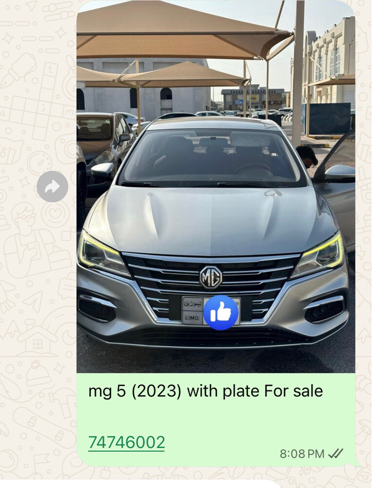 Limousine for sale - 2