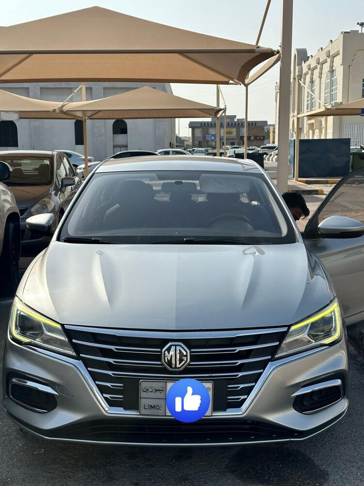 Limousine for sale - 1