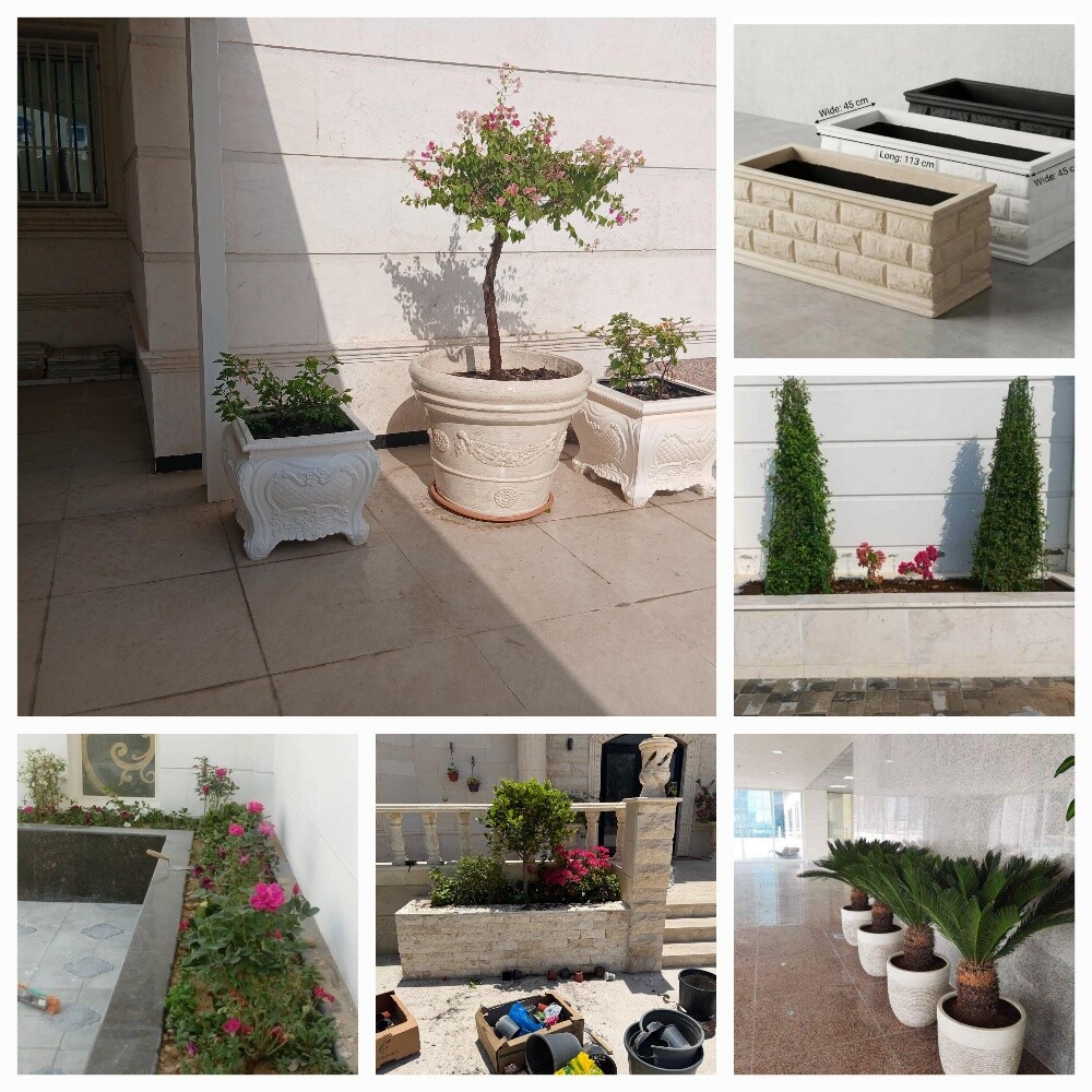 Garden new landscape - 7