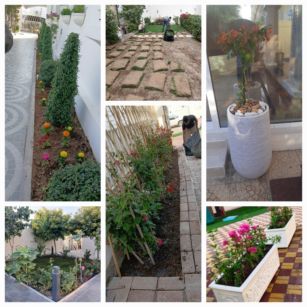 Garden new landscape - 8