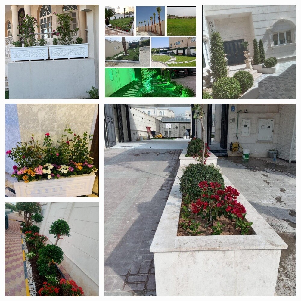 Garden new landscape - 6