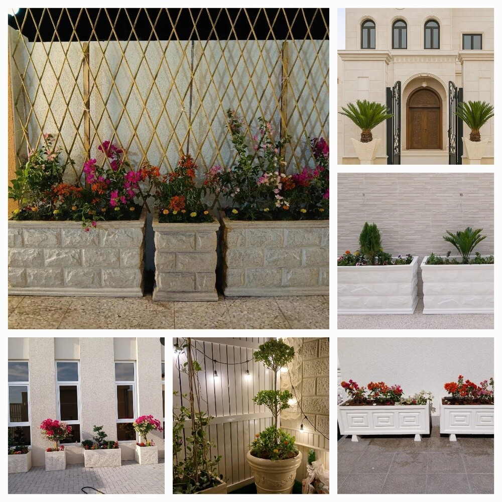 Garden new landscape - 2