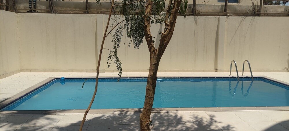 swimming coachong - 1