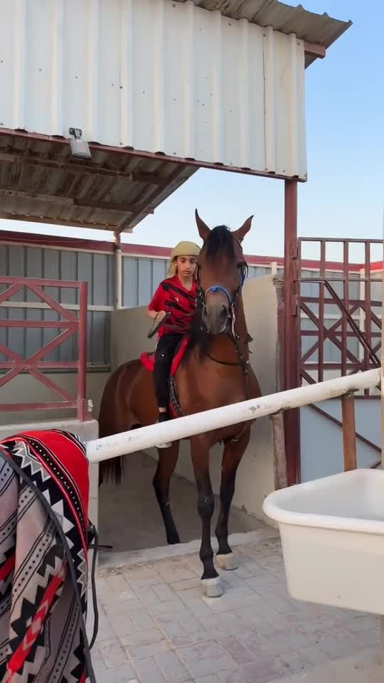 ايواء خيل مجمع ابو نخله - 2