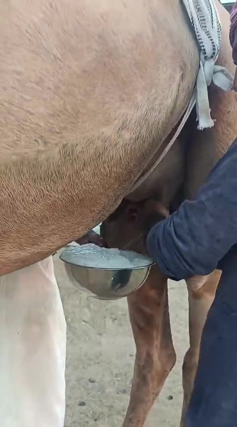 خلفه طيبه  - 1