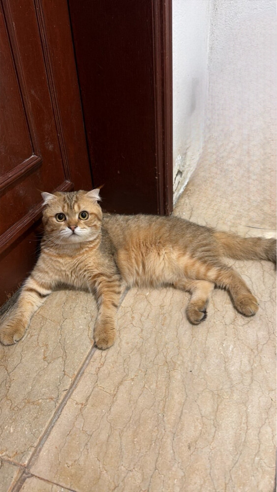 no name - 1