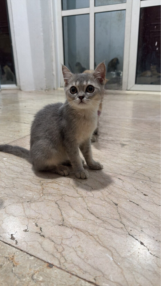 no name - 1