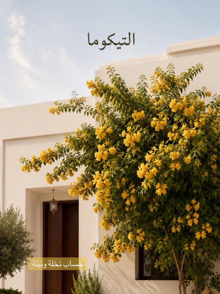 مزارع ومنسق حدائق - 18
