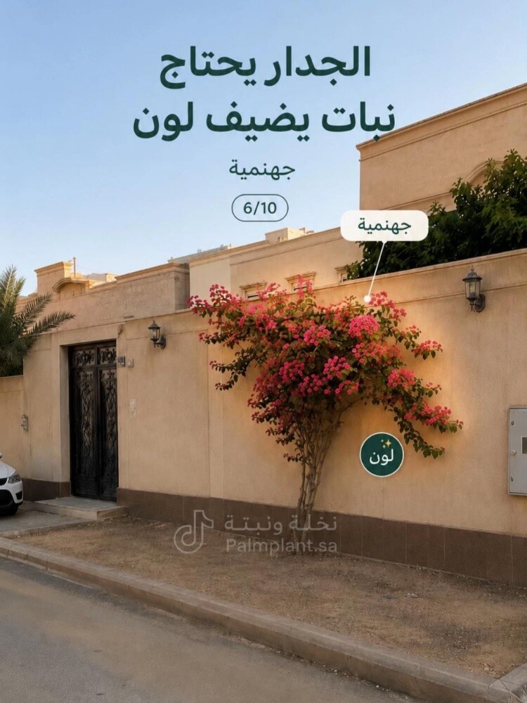 مزارع ومنسق حدائق - 13