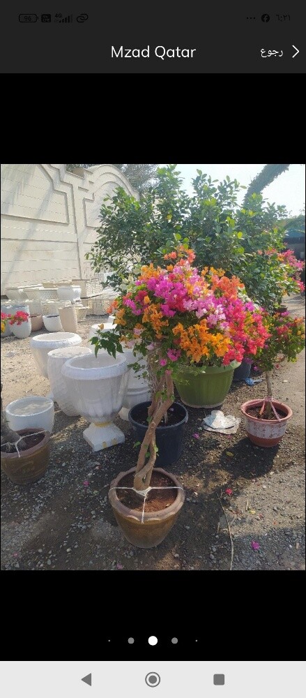 مزارع ومنسق حدائق - 4