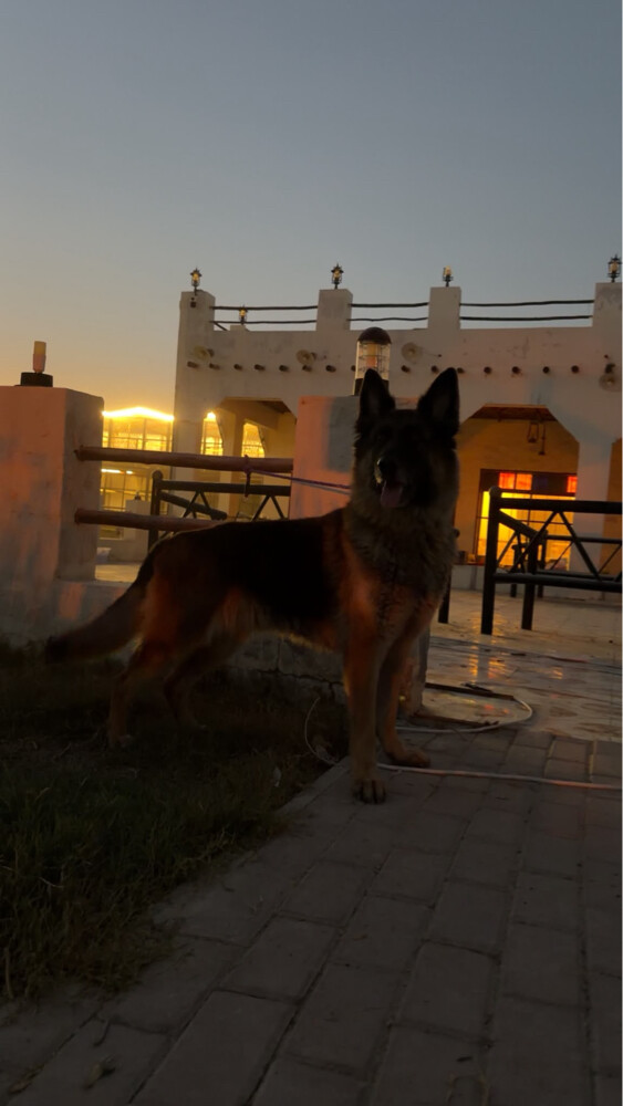جرمان  - 2