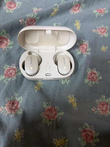Bose QuietComfort Earbuds - 1