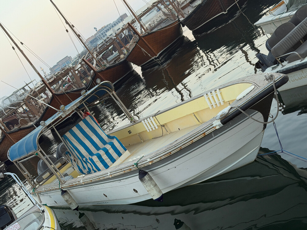 For sale Fishing Boat with TROLLEY - 3