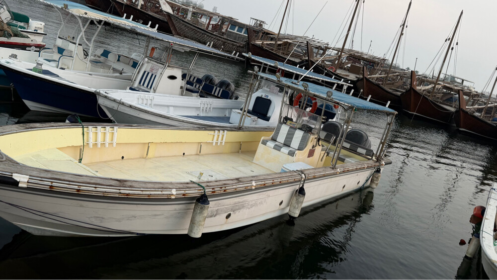 For sale Fishing Boat with TROLLEY - 6