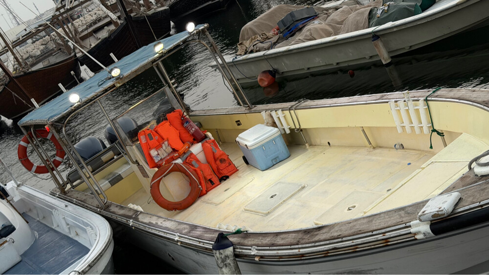 For sale Fishing Boat with TROLLEY - 5