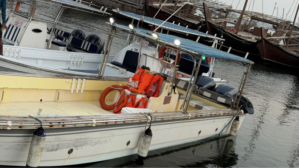 For sale Fishing Boat with TROLLEY - 4