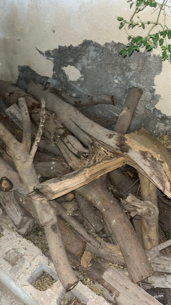Firewood for sale  - 2