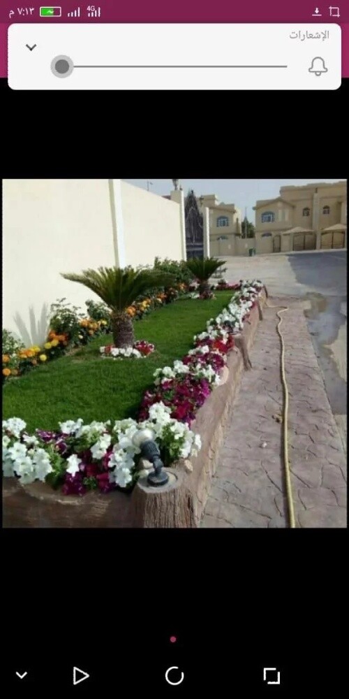 زراعه الحدائق - 6