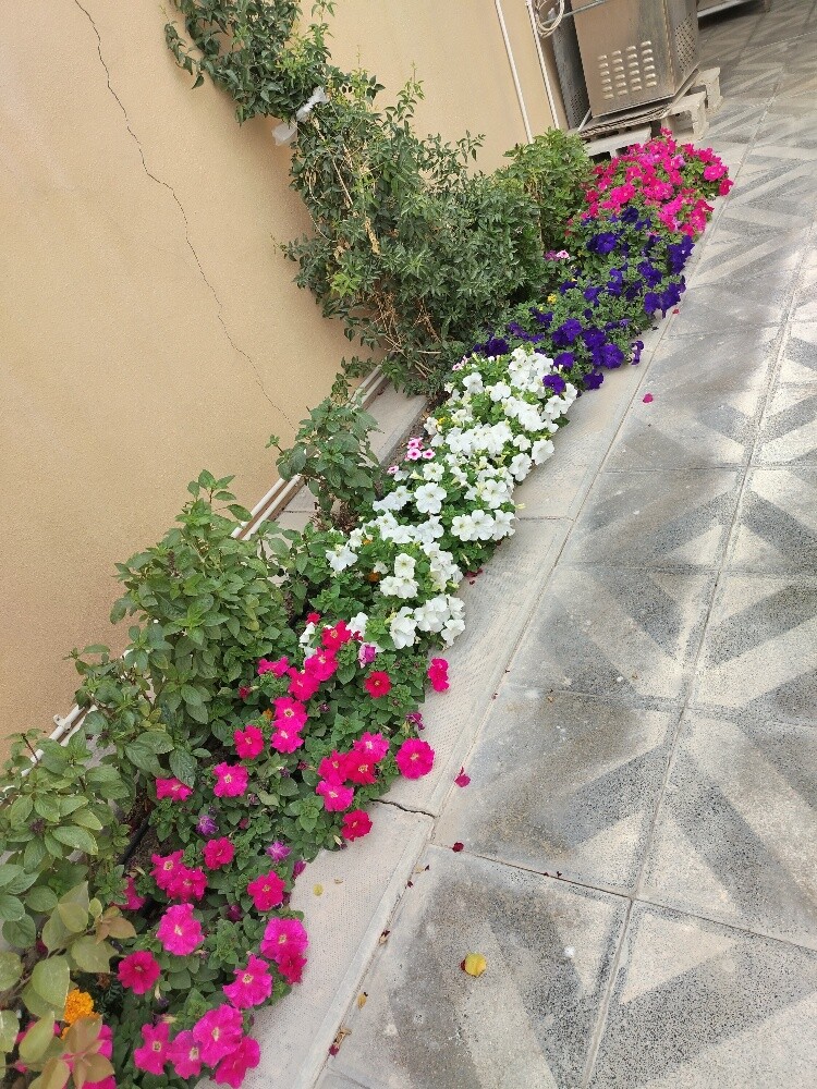 زراعه الحدائق - 1