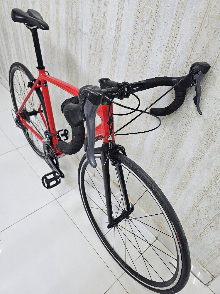 specialized - 1