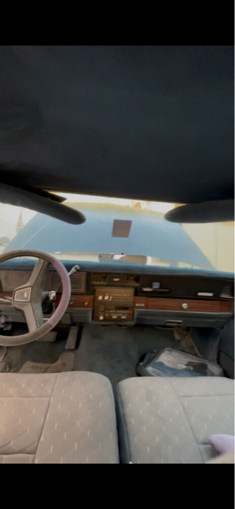 للبيع كابرس 1985 - 3