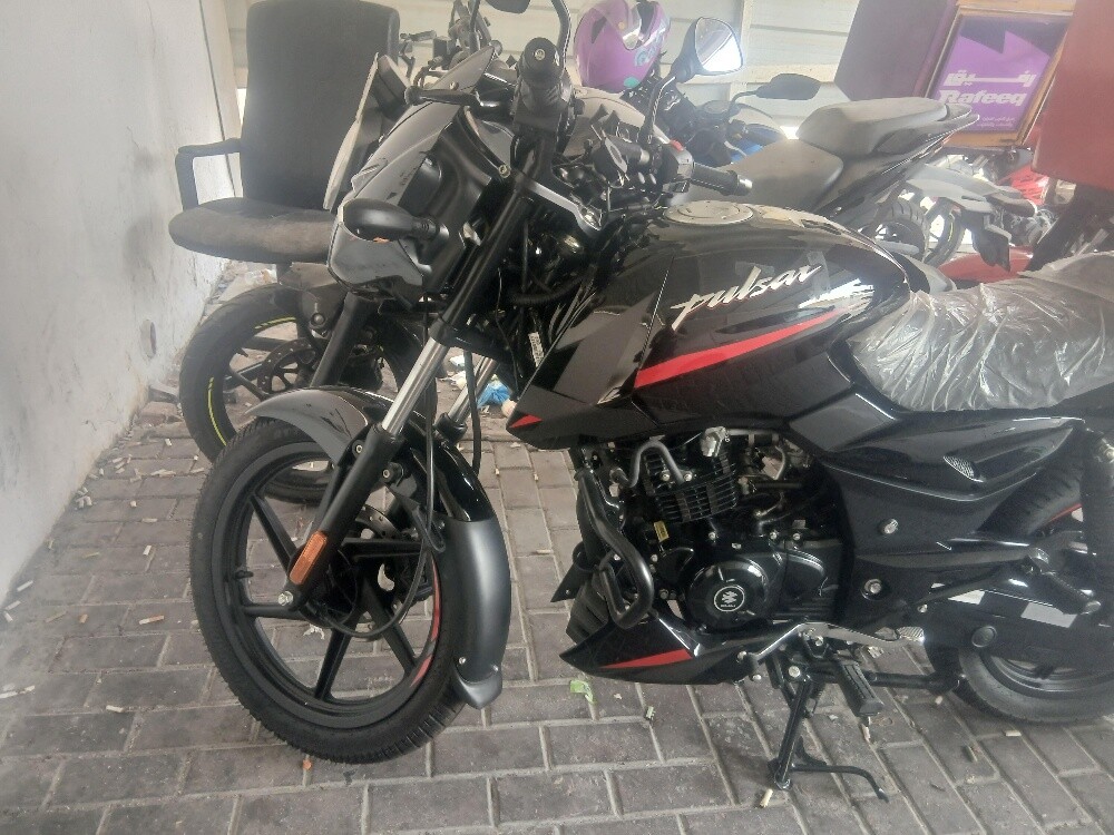 Bajaj Palsar 150 - 1